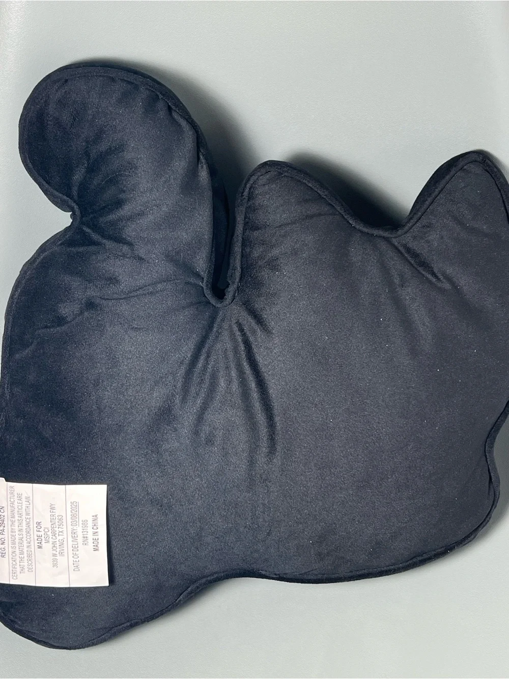 Ashland Rhinestone Skeleton Cat Pillow